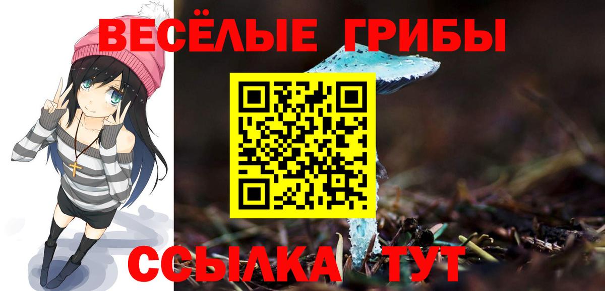Галлюциногенные грибы ЛСД Анжеро-Судженск
