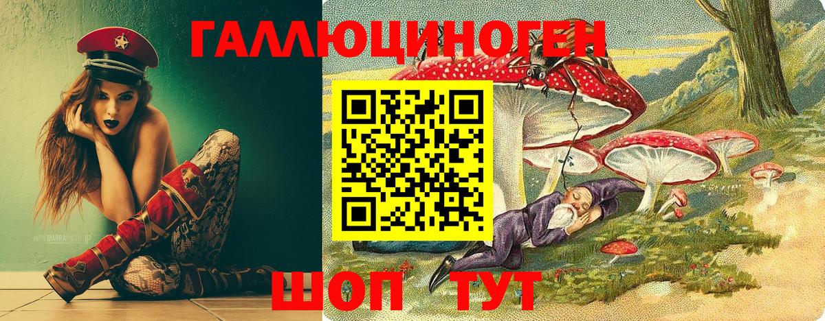 Анжеро-Судженск  Псилоцибиновые грибы Cubensis  Вход с VPN 